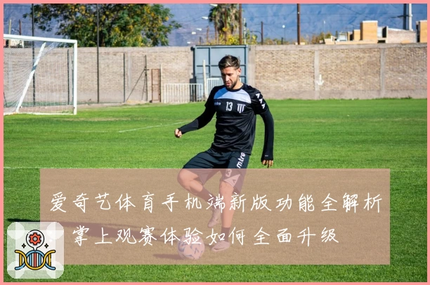 爱奇艺体育手机端新版功能全解析：掌上观赛体验如何全面升级